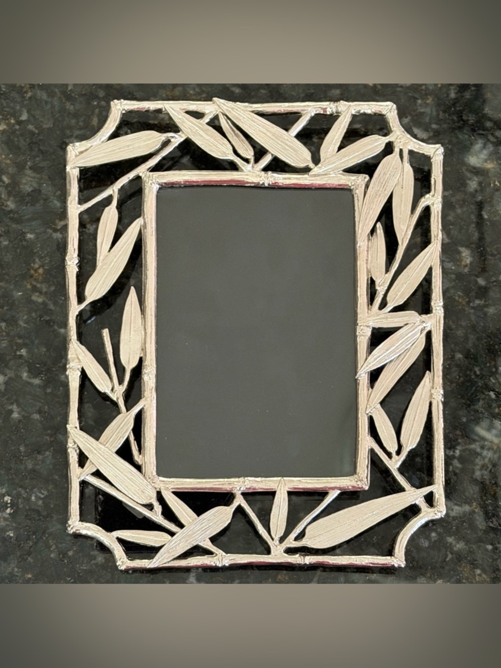 Michael Aram Bamboo Leaf Textured Silver Frame for 4x6 photo